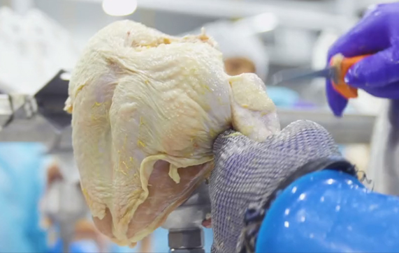 chicken deboning chicken deboning service